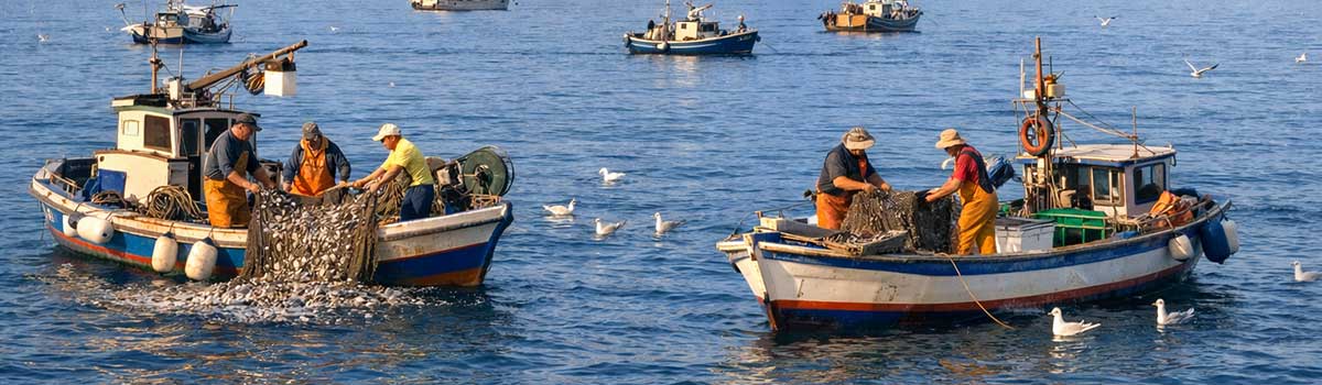 Sardellenfischer vor Sizilien