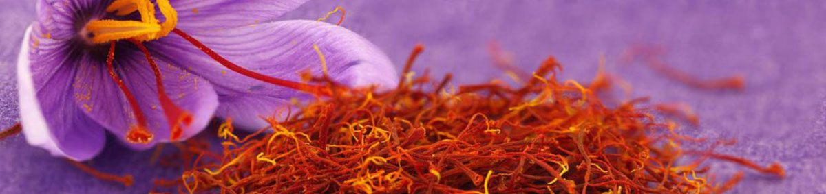 La Carrasca La Carrasca