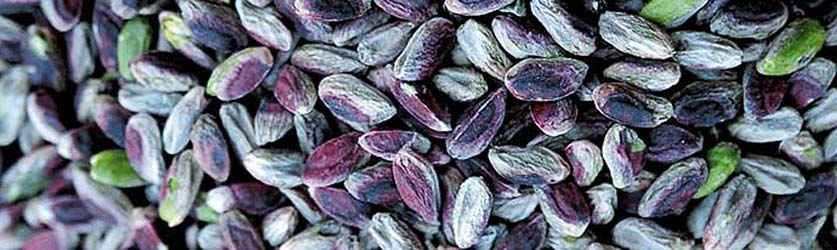 Pistazien aus Bronte Pistazien aus Bronte