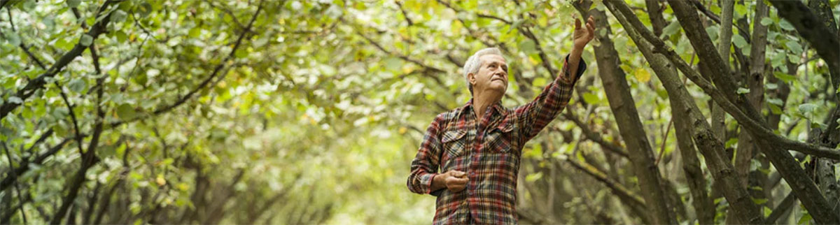 Tastelanghe Azienda Agricola Tastelanghe Azienda Agricola
