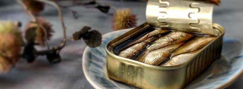 Überraschung und Nachhaltigkeit - Das 4er Fischkonserven-Set von José Gourmet Überraschung und Nachhaltigkeit - Das 4er Fischkonserven-Set von José Gourmet