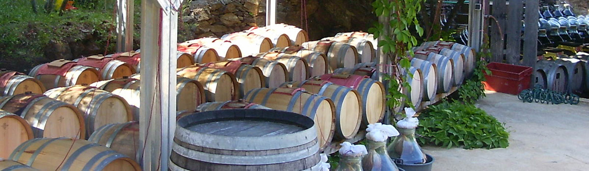 La Vinaigrerie de La Guinelle La Vinaigrerie de La Guinelle