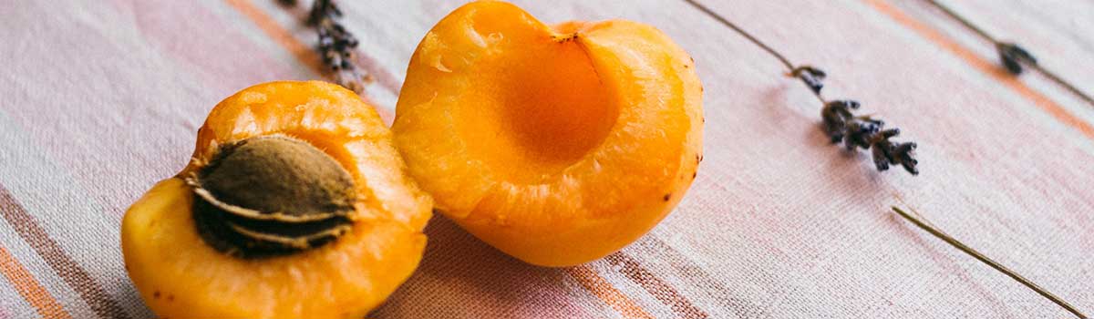 Aprikosen aus dem Piemont Aprikosen aus dem Piemont